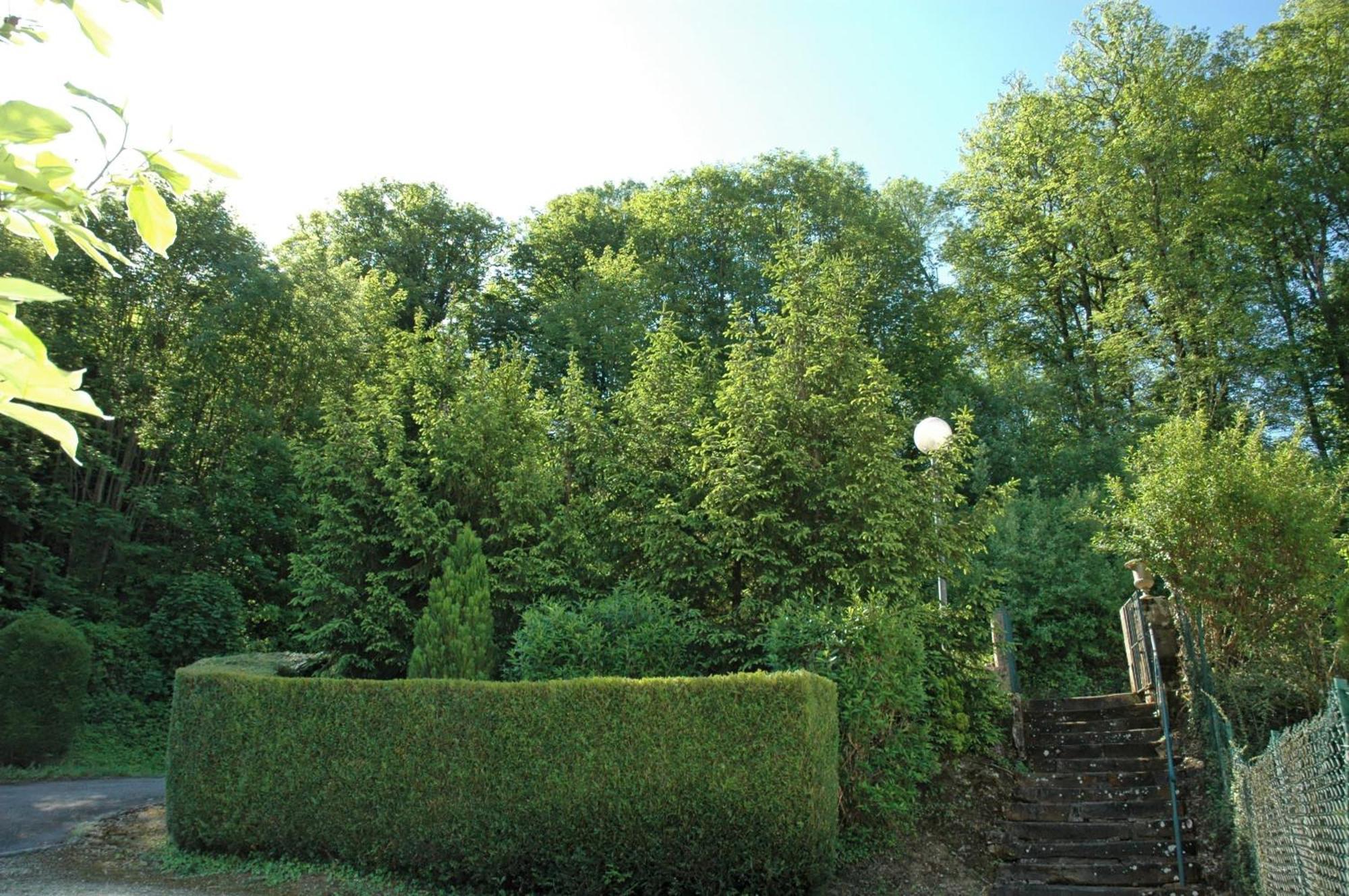 Hotel Et Studios D'Orfeuil Bourbonne-les-Bains Esterno foto