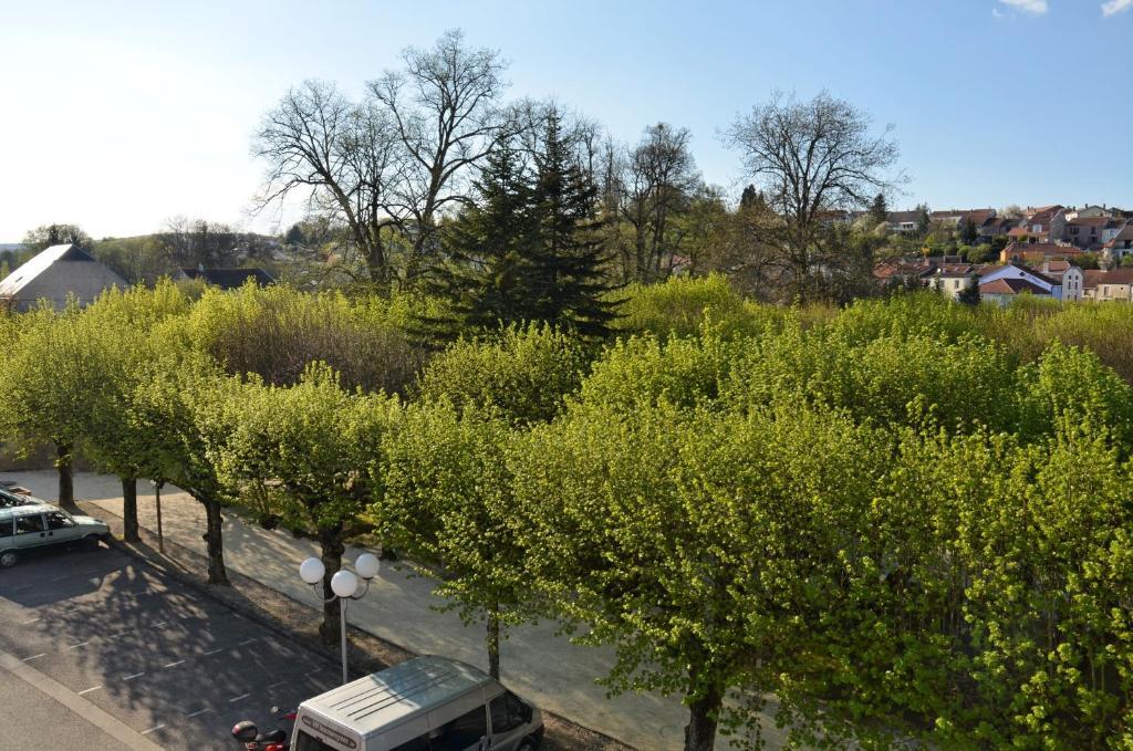 Hotel Et Studios D'Orfeuil Bourbonne-les-Bains Camera foto