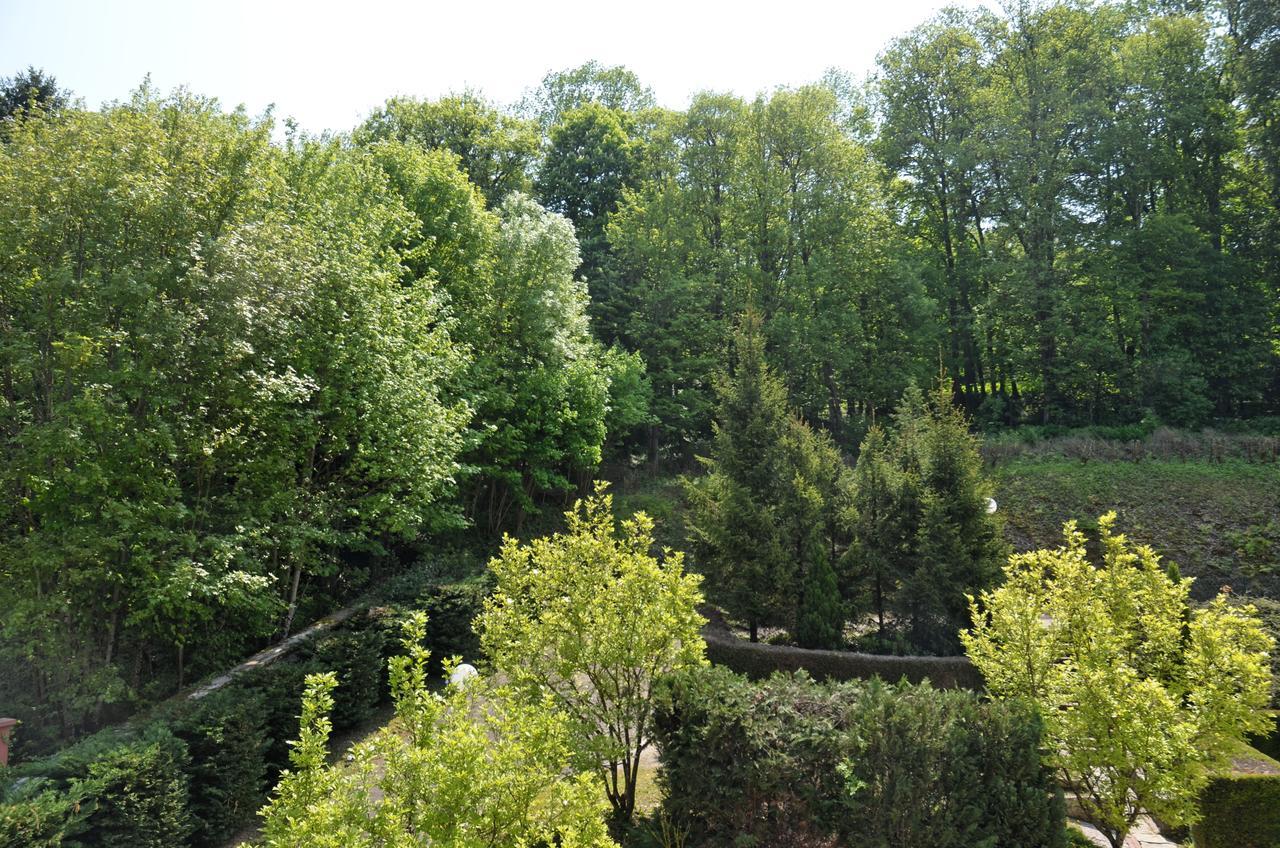 Hotel Et Studios D'Orfeuil Bourbonne-les-Bains Esterno foto